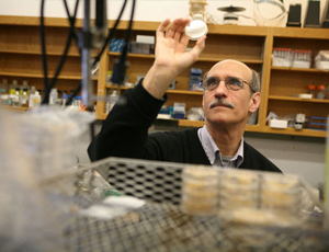 便宜的充值网站求的电话轰在线轰炸免费